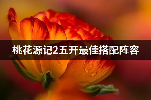 桃花源记2五开最佳搭配阵容推荐 最新平民五开最强阵容攻略